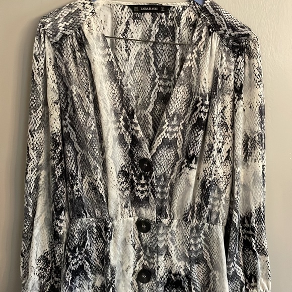 Zara animal print dress - Picture 1 of 7